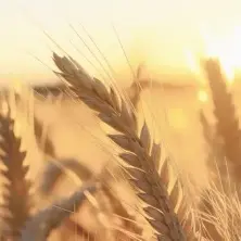 Unsere Kompetenzen